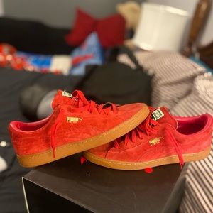 Puma